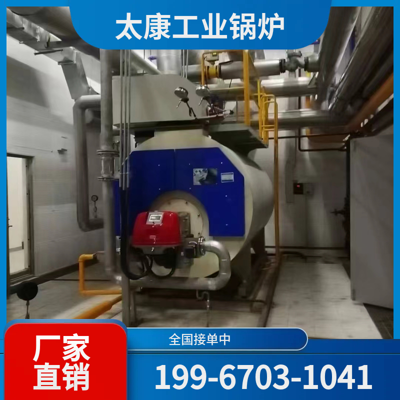 漳州燃煤导热油锅炉